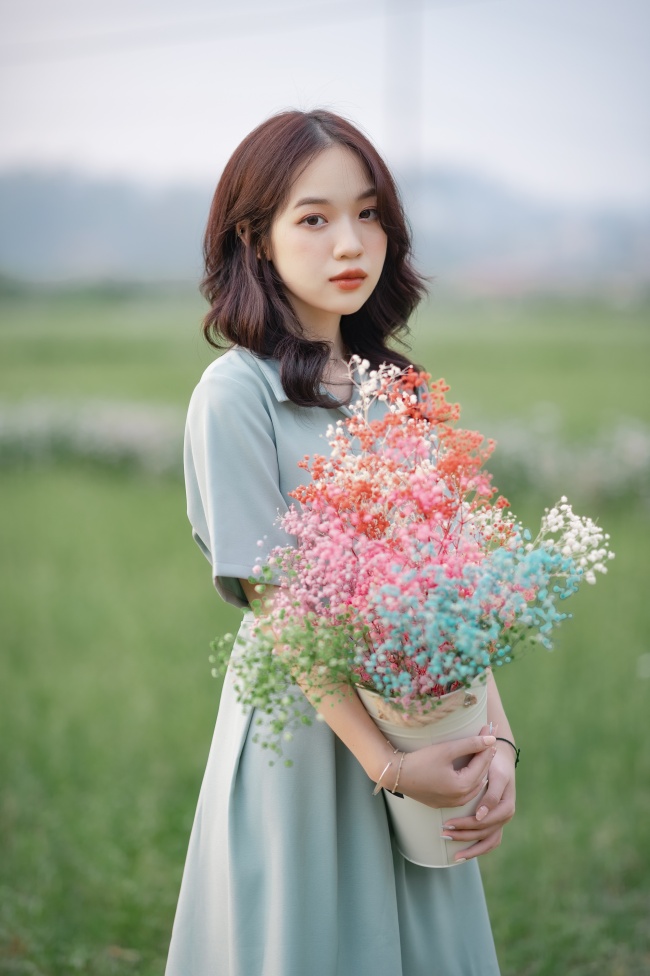 黑色大丽花